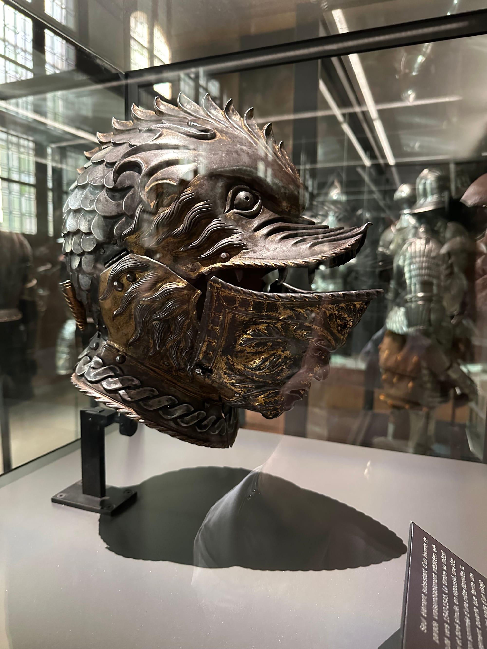 A helmet shaped like the head of a duck, though the feathers on the back are sort of like scales.